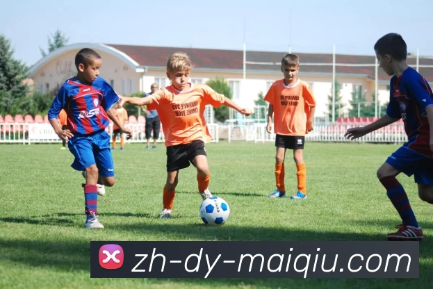 买球线上官方APP 封面图